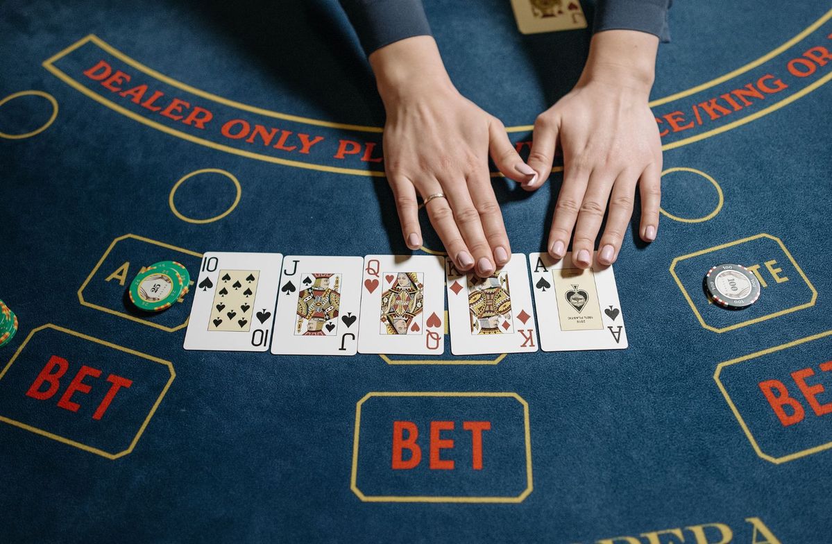 Red Dog Casino Live Betting